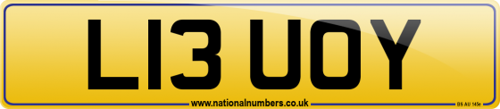 L13 UOY