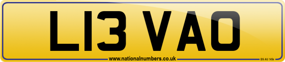 L13 VAO