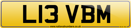 L13 VBM