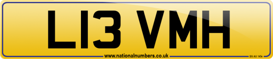 L13 VMH