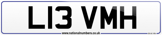 L13 VMH