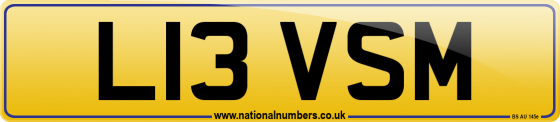L13 VSM