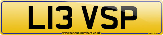 L13 VSP