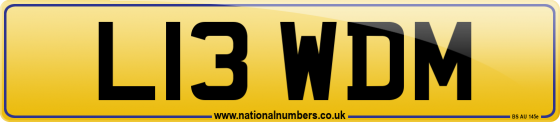 L13 WDM