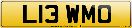 L13 WMO