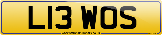 L13 WOS