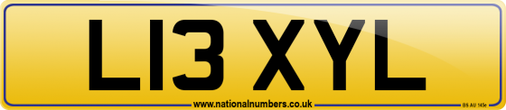 L13 XYL