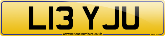 L13 YJU
