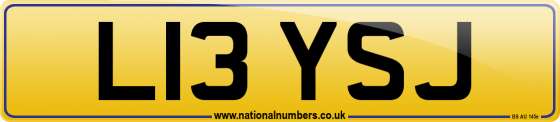 L13 YSJ
