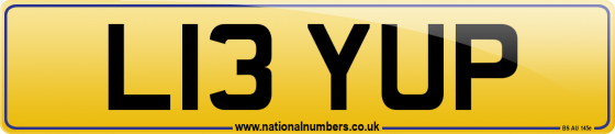 L13 YUP