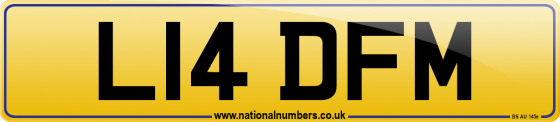L14 DFM