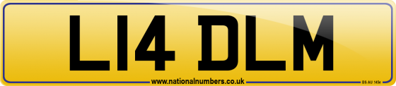 L14 DLM