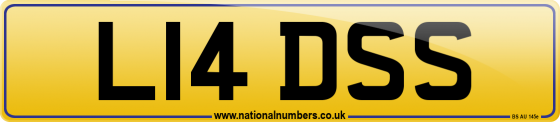 L14 DSS
