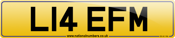 L14 EFM