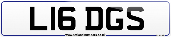 L16 DGS