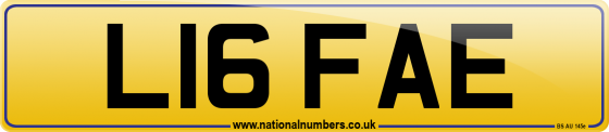 L16 FAE