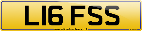 L16 FSS