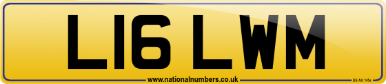 L16 LWM