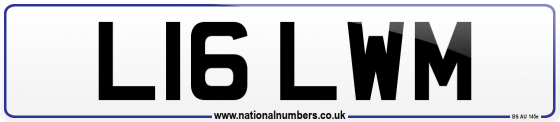 L16 LWM