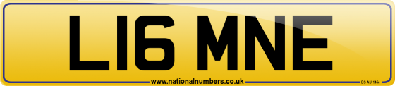 L16 MNE