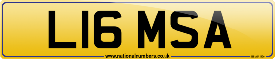L16 MSA