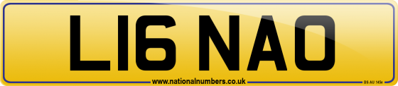 L16 NAO