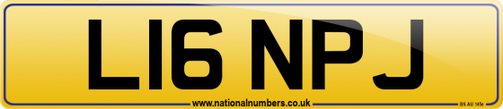 L16 NPJ