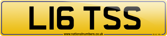 L16 TSS