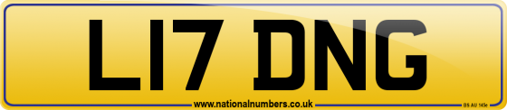 L17 DNG