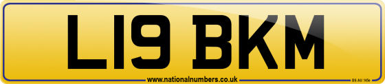L19 BKM