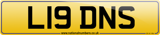 L19 DNS