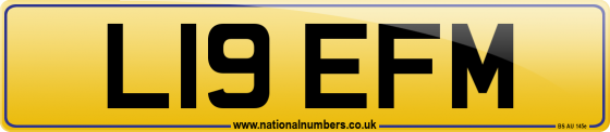 L19 EFM