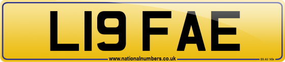 L19 FAE