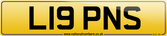 L19 PNS
