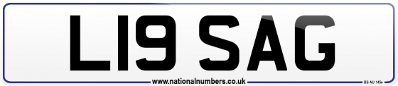 L19 SAG