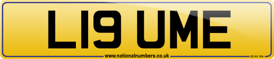 L19 UME