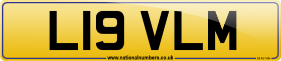 L19 VLM