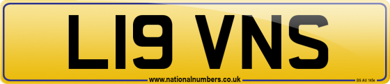 L19 VNS