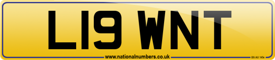 L19 WNT