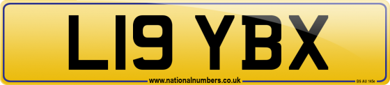 L19 YBX