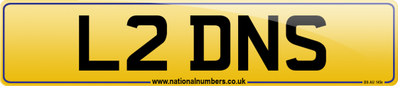 L2 DNS
