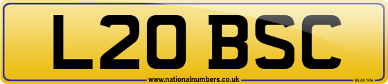 L20 BSC
