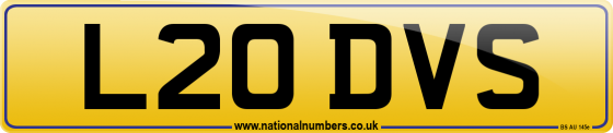 L20 DVS