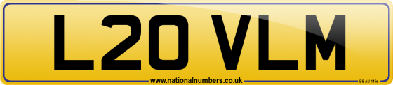 L20 VLM