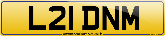 L21 DNM