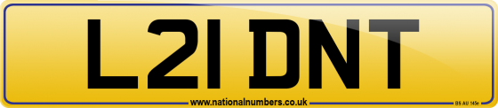 L21 DNT