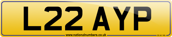 L22 AYP