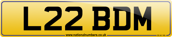 L22 BDM
