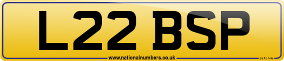 L22 BSP