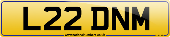 L22 DNM